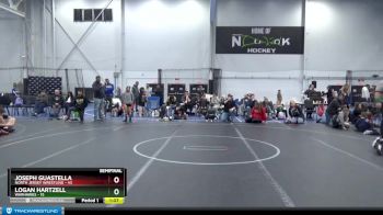 110 lbs Semis (4 Team) - Logan Hartzell, Warhawks vs Joseph Guastella, North Jersey Wrestling