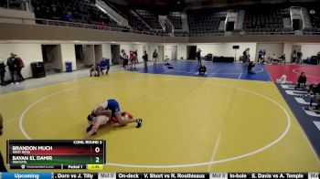145 lbs Cons. Round 3 - Bayan El Damir, Wayzata vs Brandon Much, West Bend