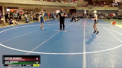 102 lbs Cons. Round 2 - Carter Weinrich, PEM (Plainview/Elgin/Millville) vs Jack Greseth, Minnewaska