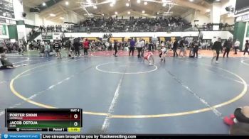 105 lbs Semifinal - Porter Swan, Homedale vs Jacob Ostoja, Star