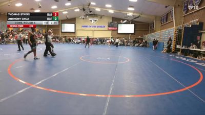 174 lbs Cons. Round 5 - Thomas Stadel, Embry-Riddle (Ariz.) vs Anthony Cruz, Unattached