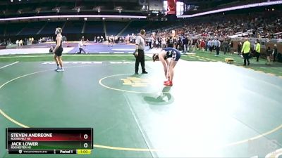D1-215 lbs 5th Place Match - Jack Lower, Rochester HS vs Steven Andreone, Roosevelt HS