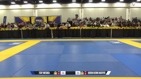 vs 2024 World IBJJF Jiu-Jitsu No-Gi Championship