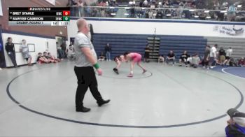 125 lbs Champ. Round 1 - Sawyer Cameron, 208 Badgers Wrestling Club vs Brey Stahle, Idaho Gold Wrestling Club