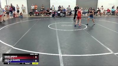 102 lbs 2nd Wrestleback (8 Team) - David Wiehle, Washington vs Nikolas Duarte, Illinois