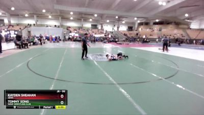 95 lbs Cons. Round 4 - Kayden Sheahan, SEWC vs Tommy Song, Wave Wrestling Club