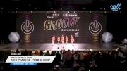 Peach State All Stars - Mini Peaches - "Red Shoes" [2025 Mini - Jazz - Small Day 1] 2025 GROOVE Dance Grand Nationals
