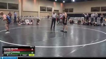 170 lbs Finals (2 Team) - Dalton Hellyer, Iowa Silver vs Eaghan Fleshman, Iowa Gold