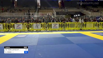 WING TUEN JOYCE IP vs KATHLEEN EGAN 2022 Pan Jiu Jitsu IBJJF Championship