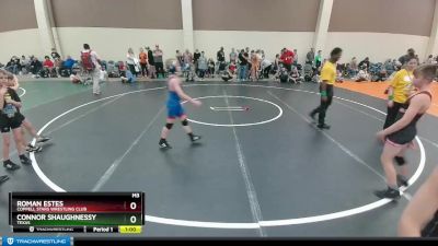 90-95 lbs Round 2 - Roman Estes, Coppell Stars Wrestling Club vs Connor Shaughnessy, Texas