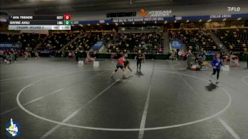 190 lbs Champ. Round 2 - Divine Akili, Linn-Mar vs Ava Trende, New Hampton