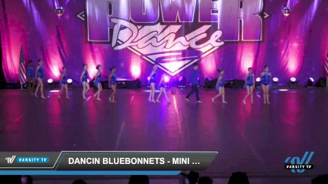 Dancin Bluebonnets - Mini Coed - Contemporary/Lyrical [2022 Mini - Contemporary/Lyrical Day 1] 2022 Power Dance Galveston Grand Nationals