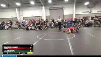 84 lbs Round 5 (6 Team) - Leland Cline, Virginia Patriots vs Bryce Schnelzer, Scanlan