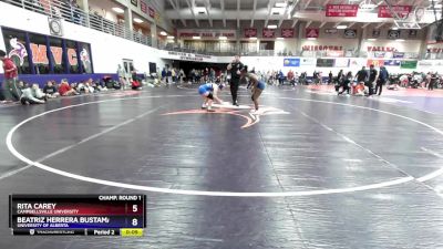 138 lbs Cons. Round 2 - Mady Sargent, Dakota Wesleyan vs Camarie Cunningham, University Of The Cumberlands