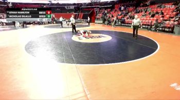 3A 113 lbs Cons. Round 1 - Nicholas Dilallo, South Elgin vs Ethan Hamilton, Flossmoor (Homewood-F.)