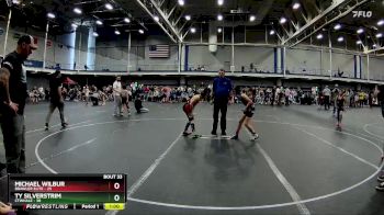 88 lbs Round 7 (10 Team) - Michael Wilbur, Brawler Elite vs TY Silverstrim, CTWHALE