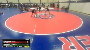 165 lbs Champ. Round 2 - Brandon Peckham, UW-Stevens Point vs Carter Proffitt, Wartburg