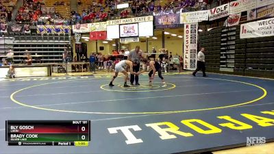 138 lbs Cons. Round 1 - Brady Cook, Silver Lake vs Bly Gosch, Lakin