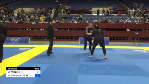 WENDY MENDEZ vs MEREDITH BURNADETTE HOCHHA 2024 Pan IBJJF Jiu-Jitsu No-Gi Championship