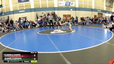 68 lbs Round 5 (10 Team) - Gunner Fleshman, Franklin Wrestling Club vs D Angelo Chavez, Mishawaka Wrestling Club