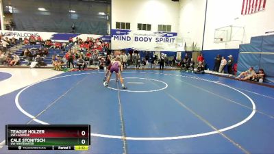 133 lbs Quarterfinal - Cale Stonitsch, UW-Whitewater vs Teague Holzer, UW-LaCrosse