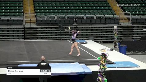 Carlee Gerke - Floor, Triad