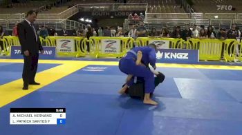 ALEXANDER MICHAEL HERNANDEZ vs LUAN PATRICK SANTOS FARIAS 2023 Pan Jiu Jitsu IBJJF Championship
