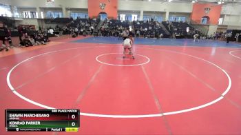 165 lbs 3rd Place Match - Konrad Parker, Ithaca vs Shawn Marchesano, Ursinus