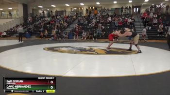 285 lbs Champ. Round 1 - David Hernandez, Lindenwood vs Sam O`Brian, Maryland