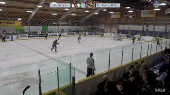 Replay: Home - 2025 SSAC Bulldogs vs STA Flyers | Mar 20 @ 7 PM