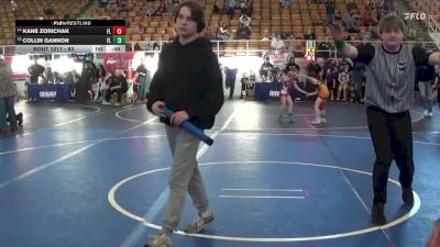 53 lbs Cons. Round 2 - Kane Zorichak, Mentor vs Collin Gannon, Battle Garage Wrestling Club