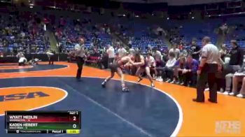 132 lbs Semis & 1st Wrestleback (8 Team) - Wyatt Medlin, Washington vs Kaden Hebert, Wauconda