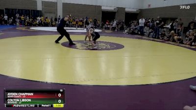 115 lbs Semis (4 Team) - Ayden Chapman, Quad County vs Colton Libson, Brainerd