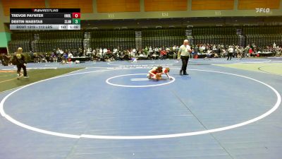 113 lbs Round Of 16 - Trevor Paynter, Homedale vs Destin Maestas, Slam