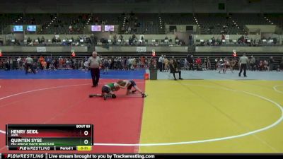 80 lbs Cons. Semi - Henry Seidl, ANML vs Quinten Syse, Pec-Argyle Youth Wrestling