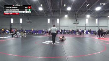 165 lbs Cons. Round 4 - Michael Roberts, Westminster vs Colton Loween, Augsburg