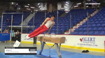 Aidan Li - Pommel Horse, Loyalist Gymnastics Club - 2019 Elite Canada - MAG