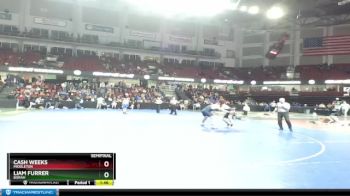 220 lbs Semifinal - Liam Furrer, Borah vs Cash Weeks, Middleton