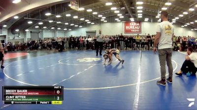 49 lbs Quarterfinal - Clint Ritter, Willie Walters Wrestling Club vs Brody Bauer, Smith Mountain Lake Wrestling