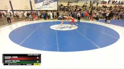 149 lbs Champ. Round 1 - Daniel Uribe, Wabash vs Sammy Nelson, UW-Stevens Point