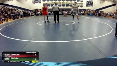 150 lbs Champ. Round 1 - Mario Brienza, Revere vs Robby Georger, Crestwood