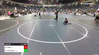 46 lbs Quarterfinal - Martin Mejia, Rebel WC vs Noah Hernandez, Tnwc