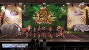 CheerVille HV - Riddlers [2025 L1.1 Youth - PREP Day 1] 2025 ASC King of the Jungle Nashville Showdown