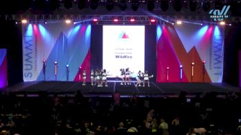 Champion Cheer - Wildfire [2024 L2 Youth - Small Day 2] 2024 The Youth Summit