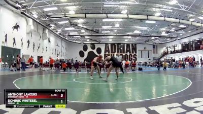 174 lbs Round 5 (6 Team) - Dominik Whitesel, Adrian vs Anthony Lahoski, Ohio Northern