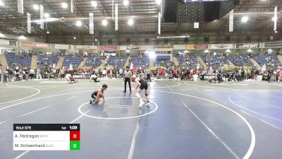 113 lbs Semifinal - Andrew Pedregon, Skyview Wolverines WC vs Max Schoenhard, Black Hills Wr Ac