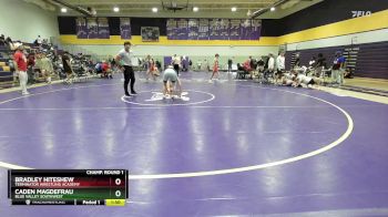 113 lbs Cons. Round 2 - Caden Magdefrau, Blue Valley Southwest vs Bradley Hiteshew, Terminator Wrestling Academy