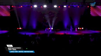 Desert Elite Mavericks - Tiny Teal [2025 L1 Tiny - Novice - Restrictions Day 1] 2025 The American Showcase