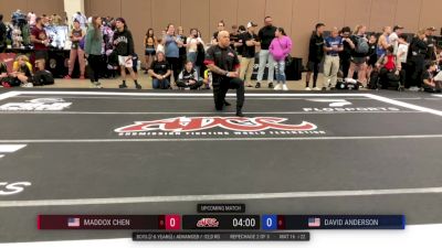 Maddox Chen vs David Anderson 2025 ADCC Dallas Open