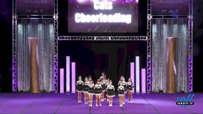 Cats Cheerleading - Lady Cats [2022 L3 Performance Recreation - 14 and Younger (NON) Day 1] 2022 Spirit Unlimited: Battle at the Boardwalk Atlantic City Grand Ntls